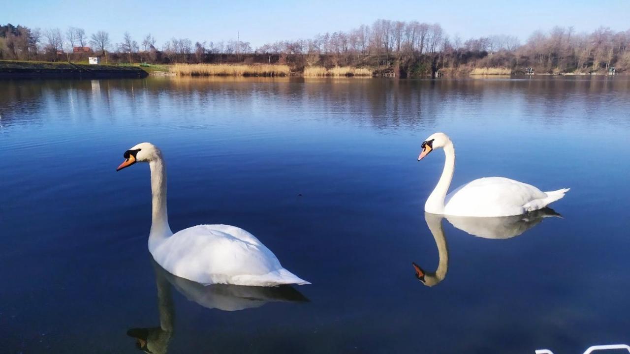 Apartmani La Grande Motte Vrdnik Luaran gambar