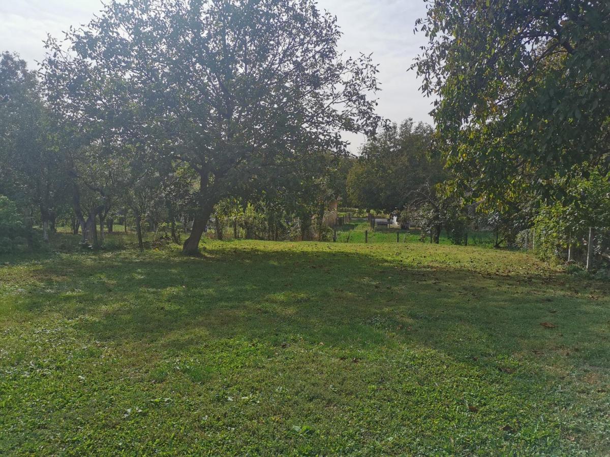 Apartmani La Grande Motte Vrdnik Luaran gambar