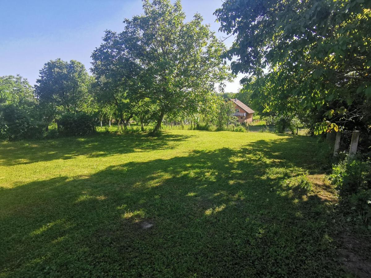 Apartmani La Grande Motte Vrdnik Luaran gambar