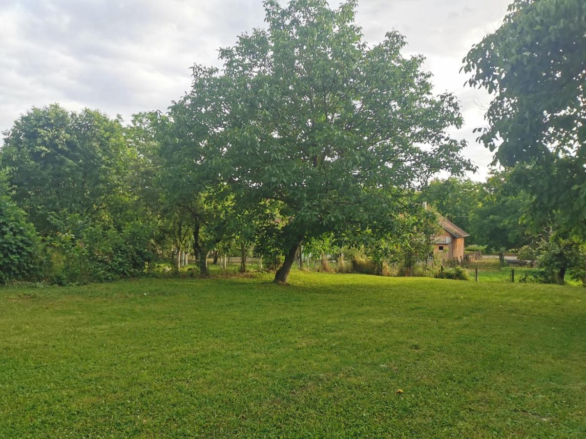 Apartmani La Grande Motte Vrdnik Luaran gambar