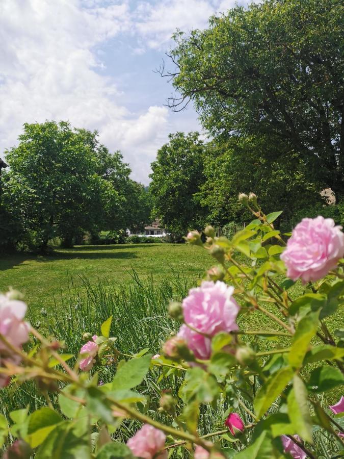 Apartmani La Grande Motte Vrdnik Luaran gambar