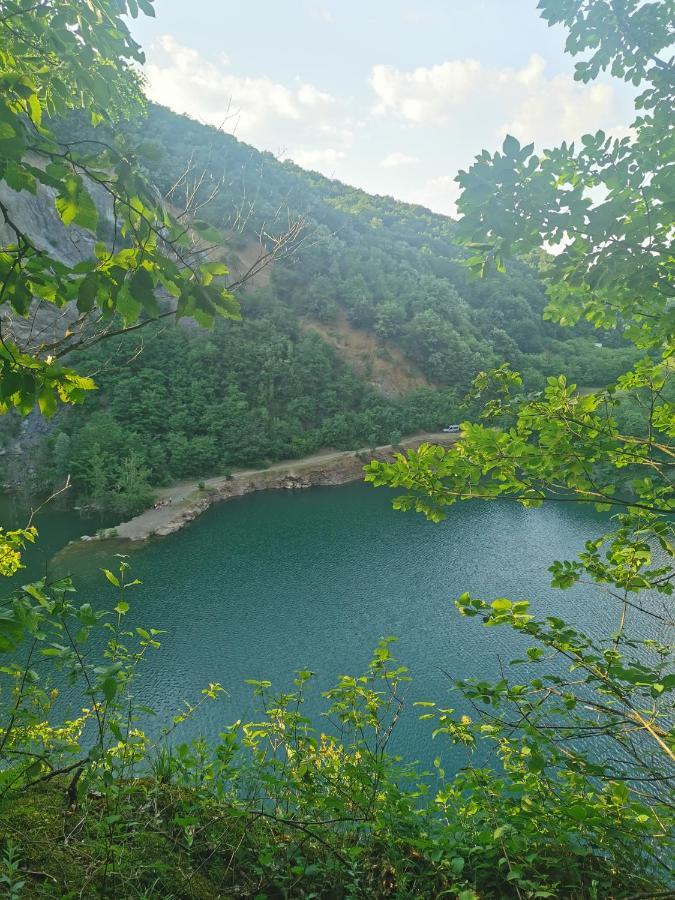 Apartmani La Grande Motte Vrdnik Luaran gambar