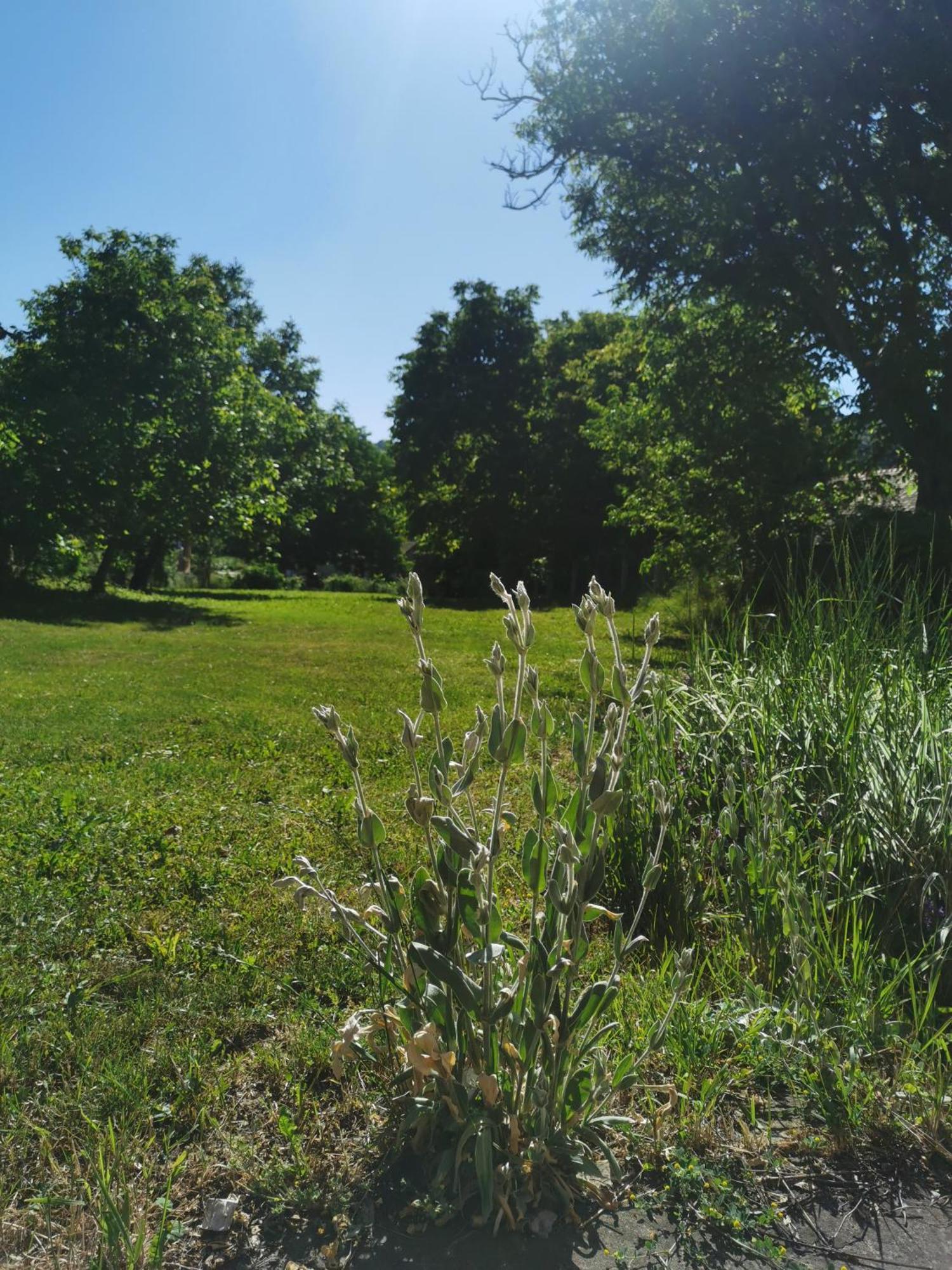 Apartmani La Grande Motte Vrdnik Luaran gambar