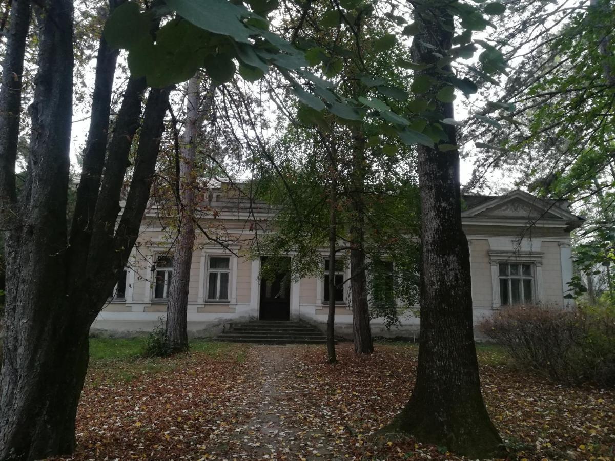 Apartmani La Grande Motte Vrdnik Luaran gambar